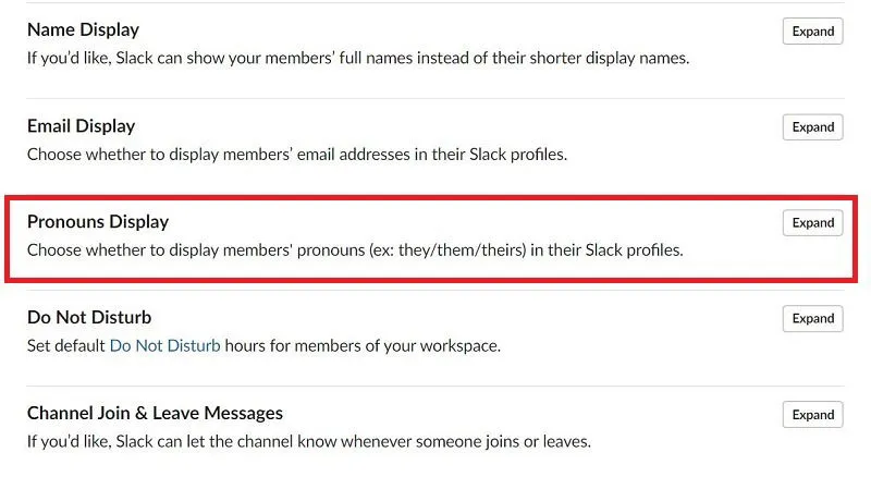 Pronouns Display Slack