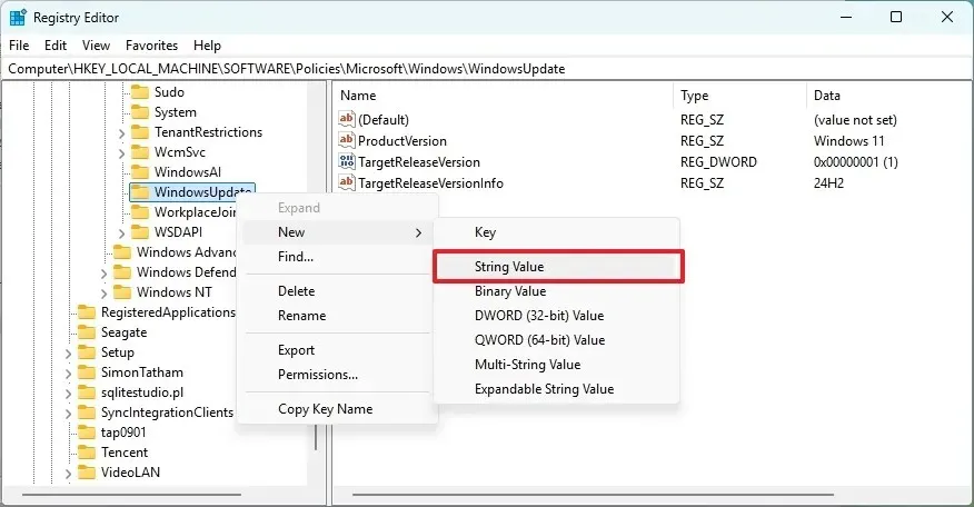 Windows Update Registry String value