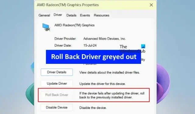 Correzione: opzione Ripristina driver disattivata in Windows 11