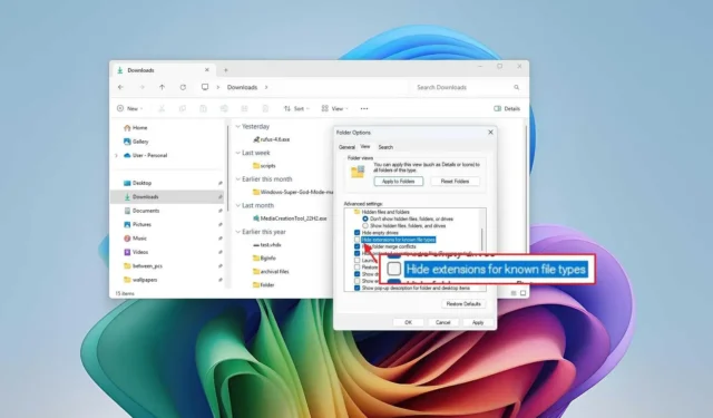 Step-by-Step Guide to Display File Extensions in Windows 11