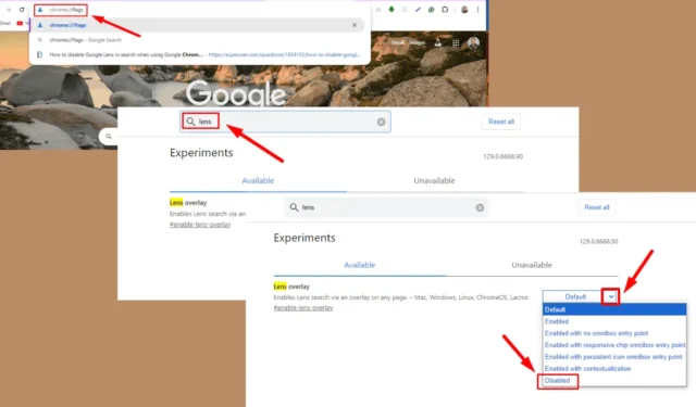 Chrome で Google レンズを無効にする: 5 つの簡単な手順