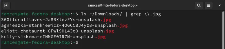 Filtrando listas de arquivos pelo Grep por extensão de arquivo.