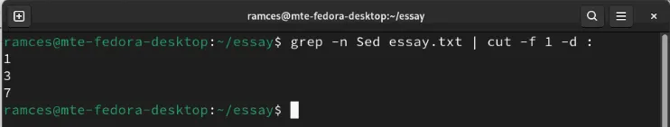 Utilizando pipes UNIX com Grep para processamento de saída refinado.