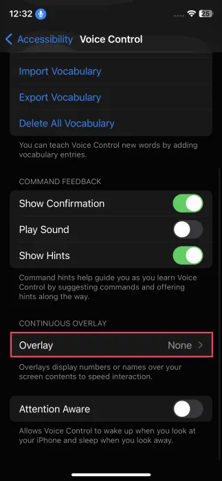 Tapping on Overlay option in Voice Control section on iPhone.