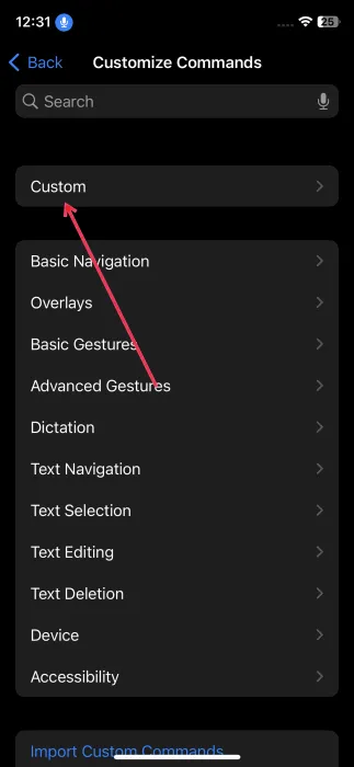 iPhone で音声コマンドをカスタマイズするには、「カスタム」オプションをタップします。