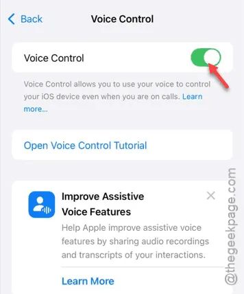 turning on voice control