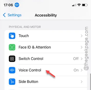 voice control option again