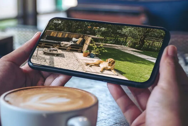 Regarder un animal de compagnie sur un téléphone à l'aide de la caméra Blink Outdoor 4