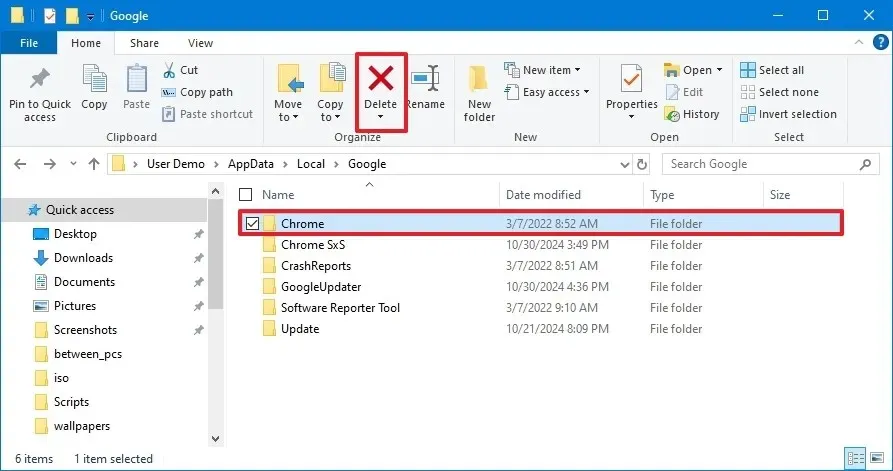 Windows 10 supprime le dossier Chrome UserData