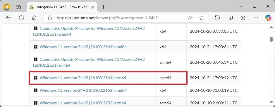 Kompilacja Windows 11 ARM64