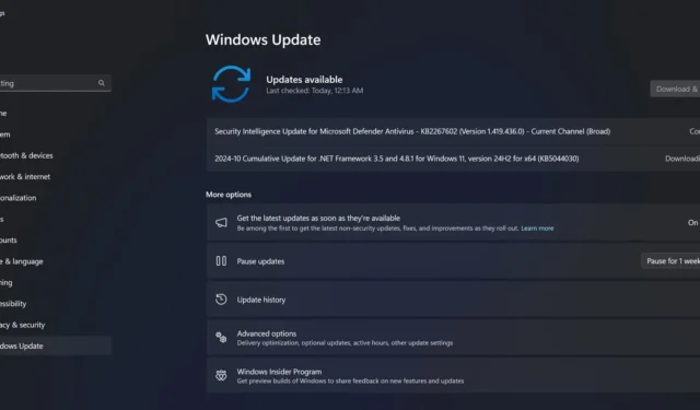 Problemen met Windows 11 KB5044284 Update mislukt en problemen gerapporteerd met KB5044285