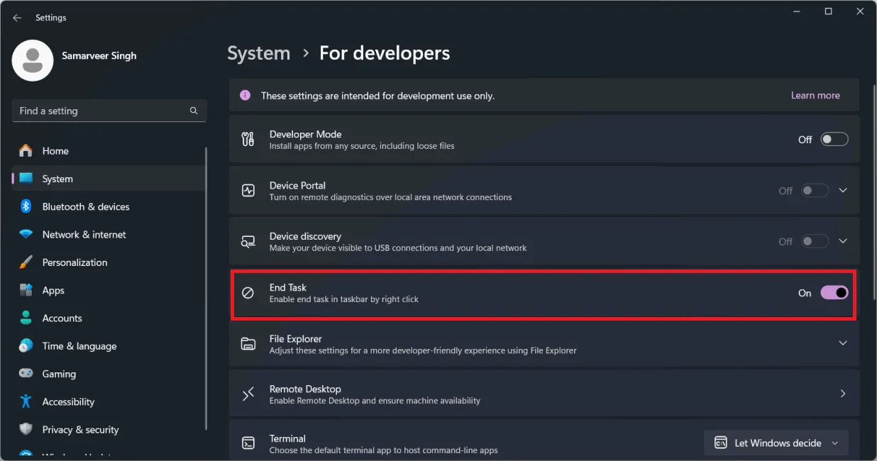 Developer Settings in Windows 11 focusing on the End Task toggle.