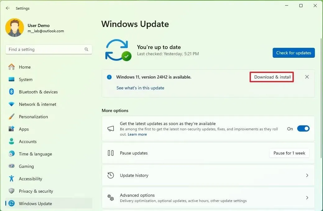 Download do Windows Update versão 24H2