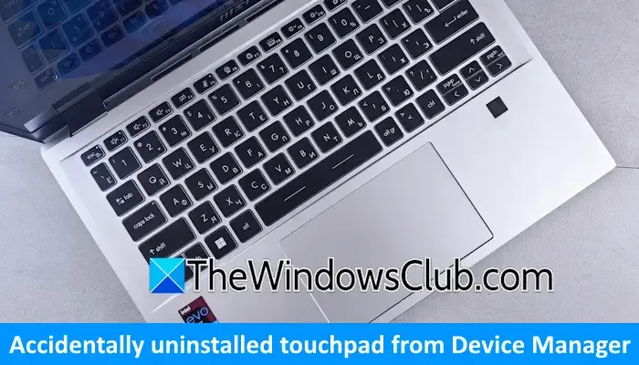 Accidentally uninstalled touchpad driver