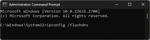 CMD flush DNS command