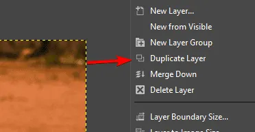 duplicate layer gimp