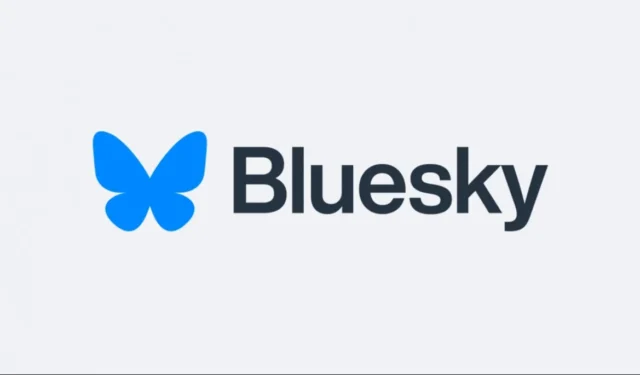 O lançamento do Bluesky: Cronograma e fatores por trás de seu rápido crescimento