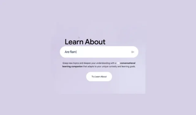 Learn About de Google: Mejorar la educación en inteligencia artificial con personalización y participación