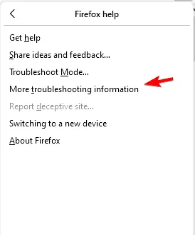 more troubleshooting details firefox