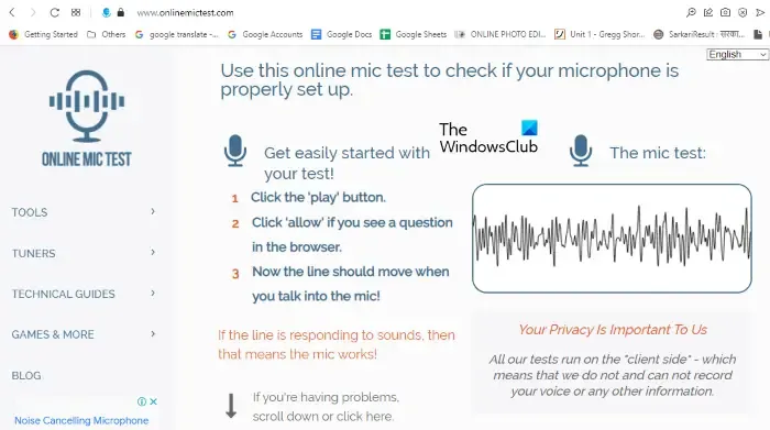 Online Mic Test