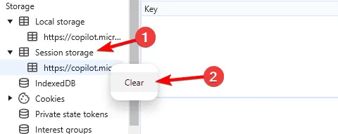 clear session storage items