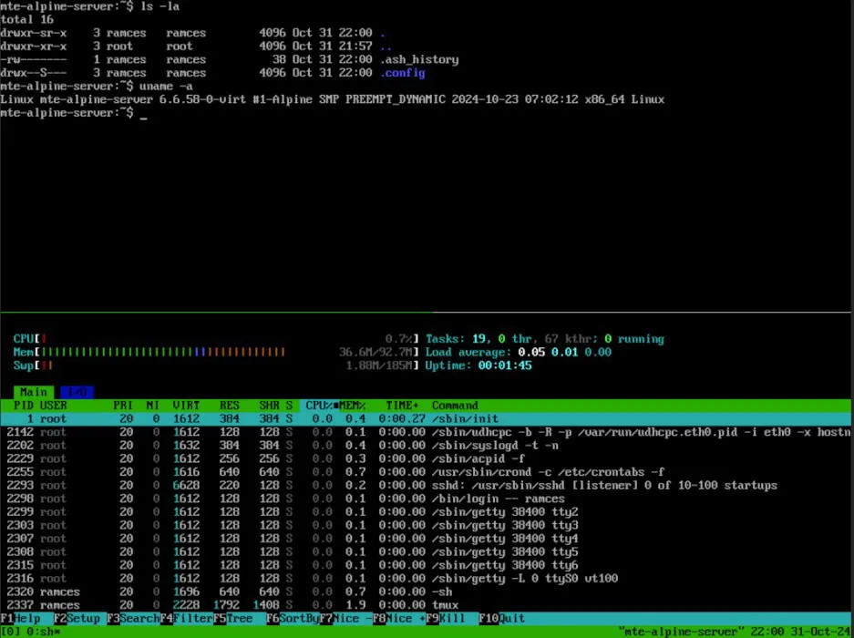 Display of Alpine Linux operating with only 128MB of RAM.