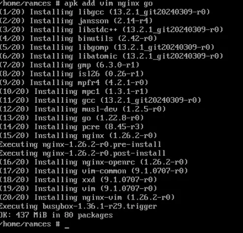 Terminal interface showing quick package resolution in Alpine Linux.