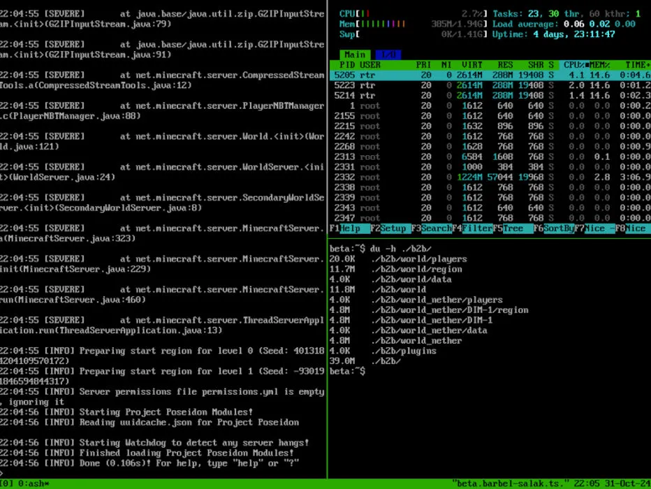 Terminal showing the Minecraft server binary in Alpine Linux.