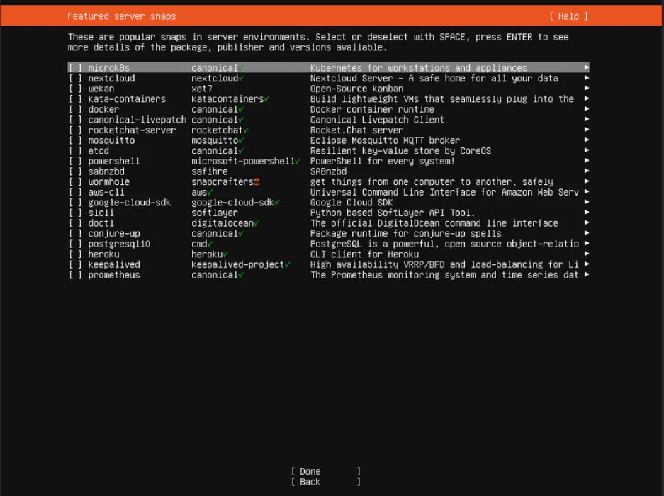 Terminal showcasing the diverse applications available for installation in Ubuntu Linux Server at the installer stage.