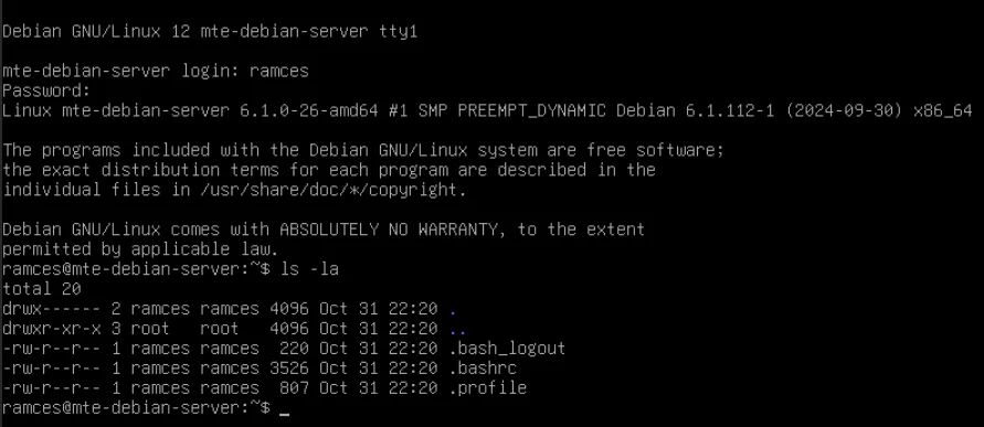 Terminal showing the default interface of a Debian Linux server.