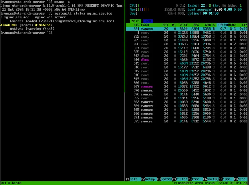 Terminal showcasing a minimal installation of Arch Linux functioning as a server.