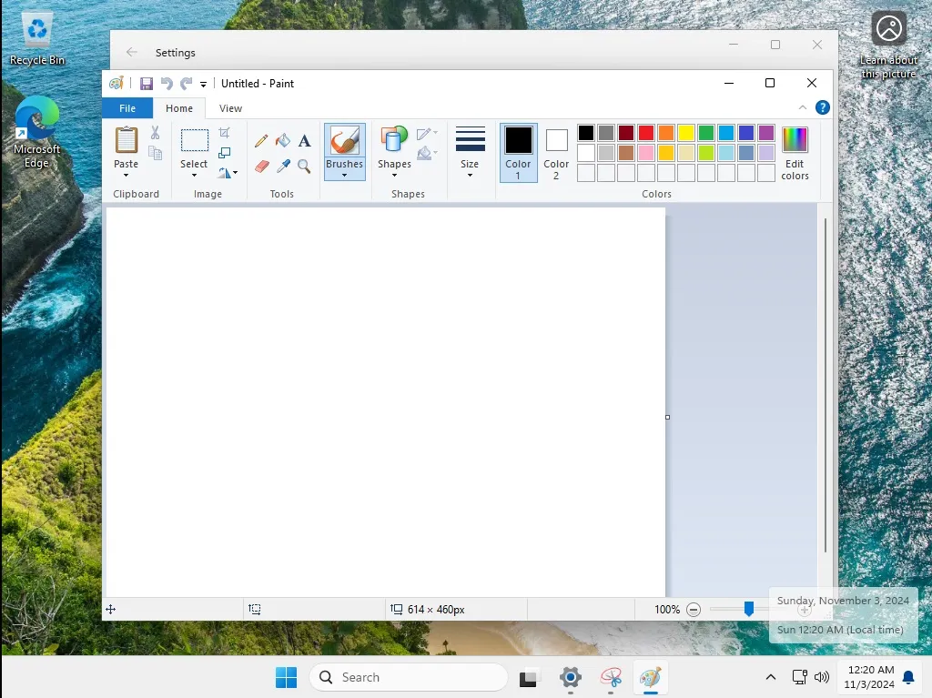 Windows 11 LTSC 2024 Paint application