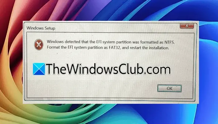 Windows detected EFI partition formatted NTFS