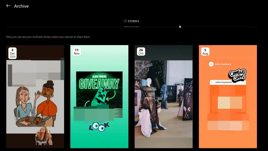 PC 上の Instagram のストーリー アーカイブ ビュー。