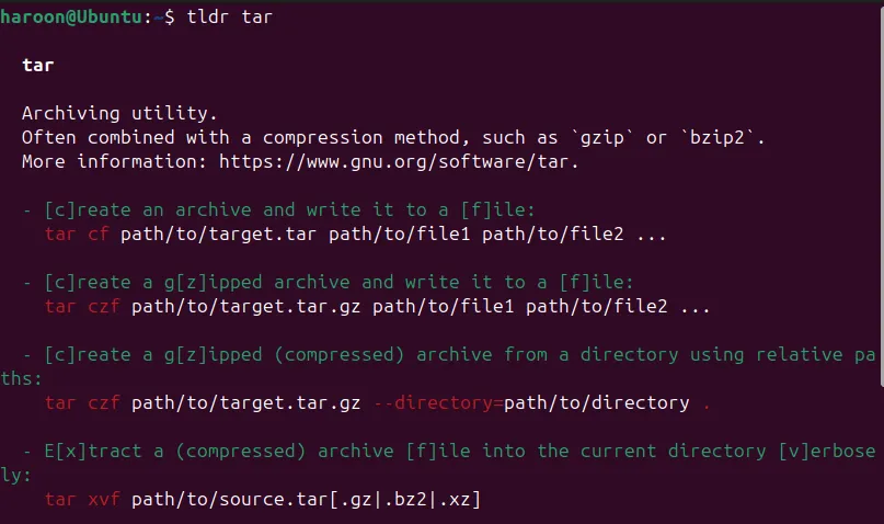透過 Tldr 查看 Tar 命令詳細信息